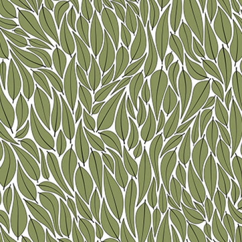 Shopcat_Color_Green